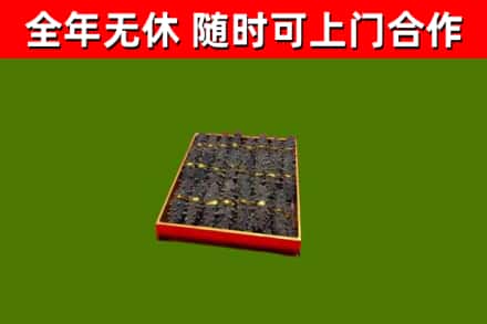 向阳烟酒回收海参.jpg